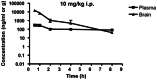 Figure 10. Brain/plasma study with SID-56353039.