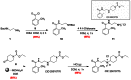 Scheme 2. Optimized synthesis of CID 25010776 as free base and mono-HCl salt, 25010775: overall yield of 82.5%.