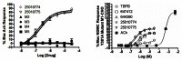 Figure 5. A) Full CRCs for CID 25010774 and CID 25010775 for wt M1–M5; B) CRCs for TBPB, ACh, the initial HTS leads CID 644390 and CID 647412 and the probe candidates CID 25010774 and CID 25010775.