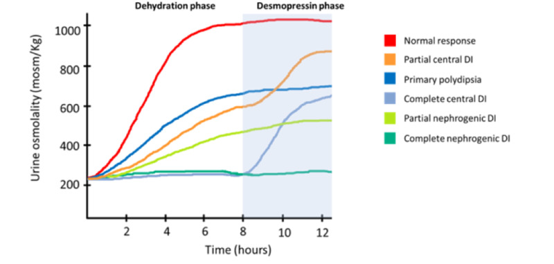 Figure 2. . Graphical representation of the water deprivation test.