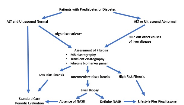 Figure 3. . Management of patients with prediabetes or type 2 diabetes mellitus and suspected NAFLD.