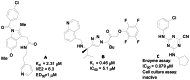 Figure 2. Recent Inhibitors of T. cruzi Cysteine Proteases.