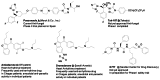 Figure 3. Compounds in Clinical Trials for Chagas Disease.