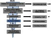 Figure 4. Critical Path for Probe Development.