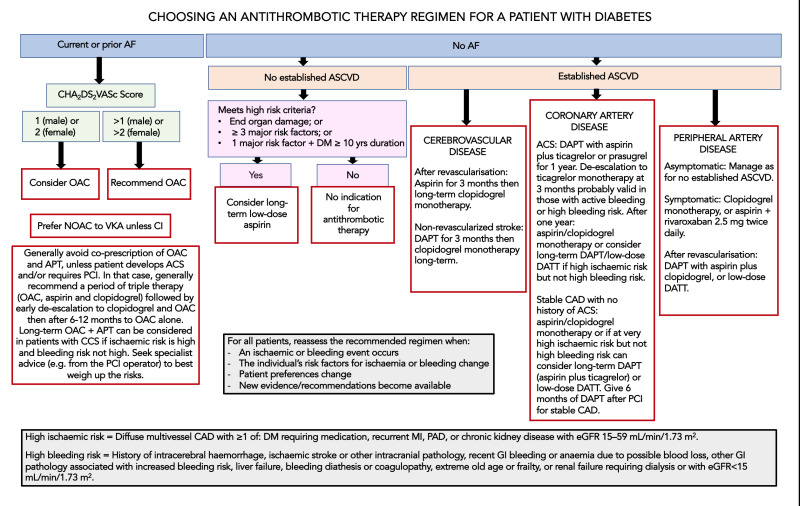 Figure 3. . Principles to consider when deciding on the optimal regimen of antithrombotic therapy in a person with diabetes.