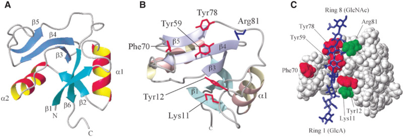 FIGURE 16.5.. Structure of the link module.