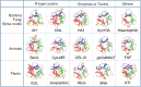 FIGURE 31.4.. Structures of β-trefoil folds of R-type lectin domains in various proteins.