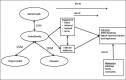 Figure 1. ADHD Health Care System.