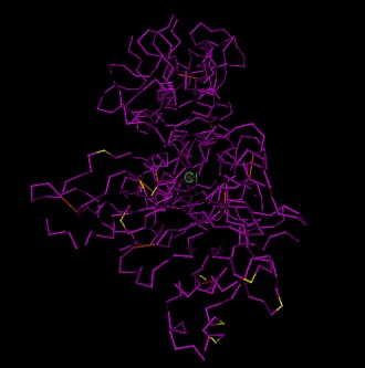 Figure 2. (Top) Three-dimensional view of the AMA1 protein with domains colored differently.