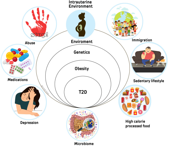 Figure 1. . Risk Factors for T2D in Children and Adolescents.
