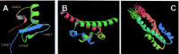 Figure 2. 3D structures determined in solution by NMR spectroscopy of (A) the C-domain (1HNR) and (B) N-domain (1NI8) of E.