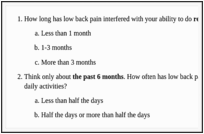 Figure 3. Chronic Low Back Pain Questionnaire.