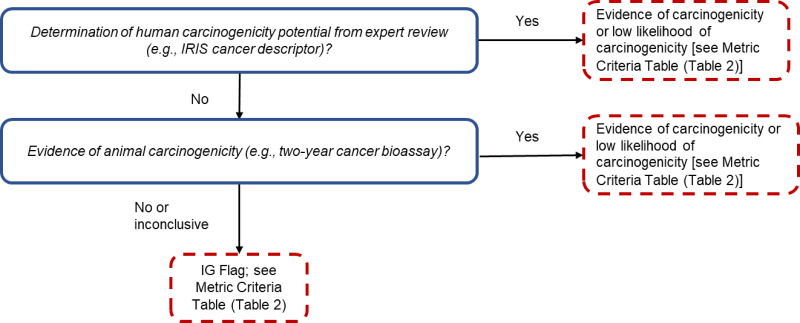 Figure 5. Tiered evaluation process associated with the carcinogenicity domain. The workflow begins with the determination of human carcinogenicity from an authoritative source and ends at one of the red, dashed line boxes. Blue, solid line boxes represent intermediate decision points. IG flag = information gathering flag.