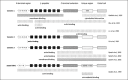 Figure 1. Domain organisation of coronins.