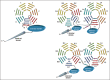 Figure 4. Putative topology of coronins 3 (1C) and 7.