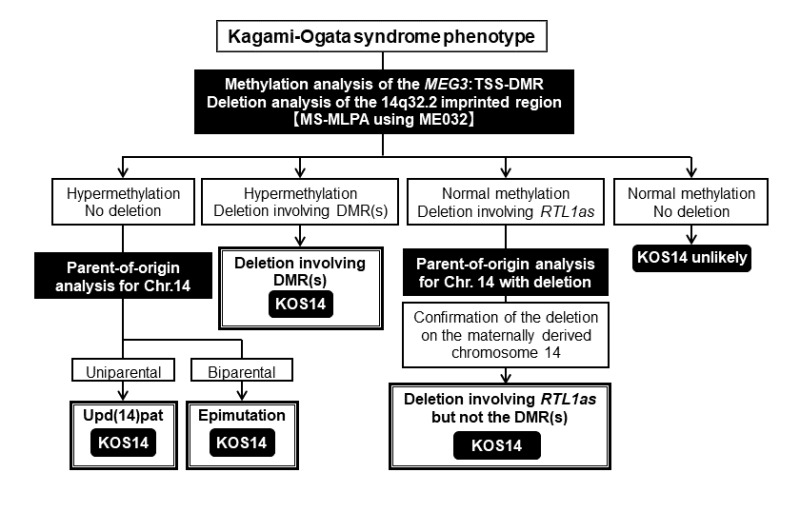 Figure 3. 