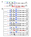 Figure 4. . Chromosome 14q32.