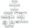 Figure 1. Strategies to establish and characterize fibroblast subsets.