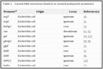 Table 1. Curved DNA structures found in or around prokaryotic promoters.