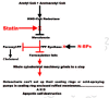 Figure 13. The ways statins and N (nitrogen)-bisphosphonates (N-BPs) disable and kill osteoclasts.