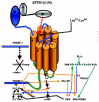 Figure 16. A possible model of the PTHR1 receptor.