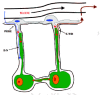 Figure 2. The quiet before the storm.