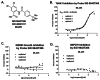 Figure 14. A.