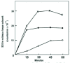 Figure 2. The newly synthesized large subunit of rubisco binds to another protein before assembling into the holoenzyme.