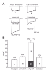 Figure 5. Pharmacological dissection of high-voltage-activated (HVA) whole-cell Ca2+ current types in rat cerebellar granule neurons.