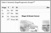 Table 6. Anatomic Stage/Prognostic Groupsa,b.