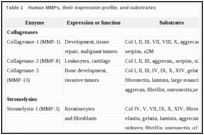 Table 1. Human MMPs, their expression profile, and substrates.