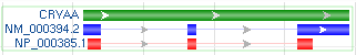 Solid bars for feature intervals or exons, and solid lines for introns