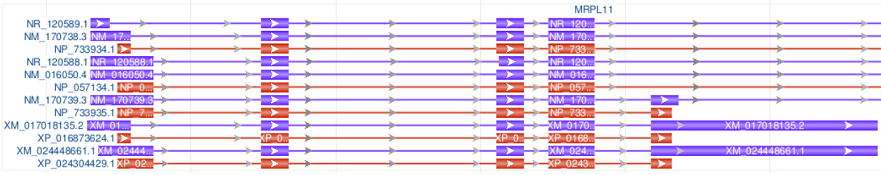 Show all transcripts and CDSs, no gene bar