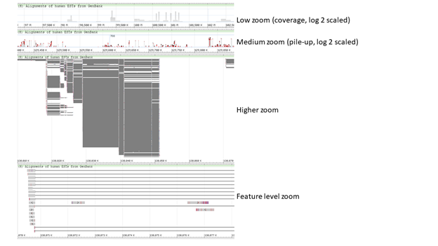 Zoom levels 7.1.1