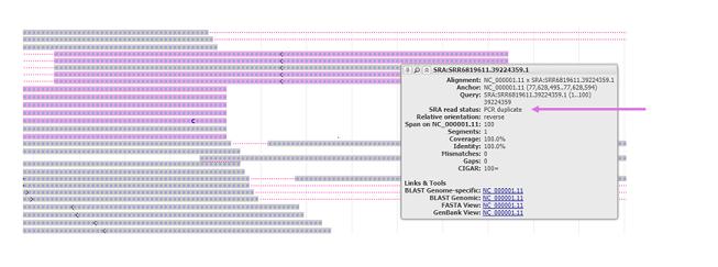 PCR duplicates 7.3.7