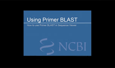 Primer BLAST Video