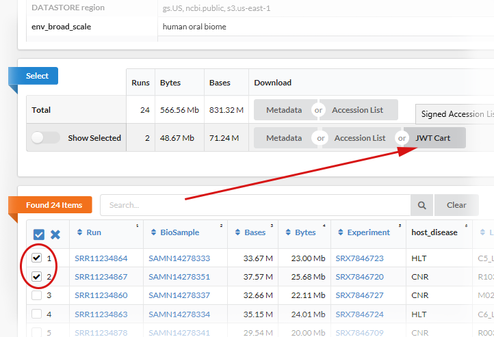 Run Selector-JWT example