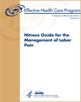 Cover of Nitrous Oxide for the Management of Labor Pain