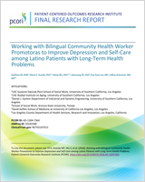 Cover of Working with Bilingual Community Health Worker Promotoras to Improve Depression and Self-Care among Latino Patients with Long-Term Health Problems