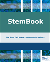 Cover of StemBook