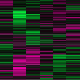 GDS20 Cluster Image