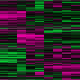 GDS529 Cluster Image