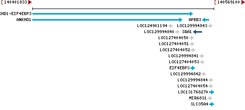 Genomic Context describing neighboring genes