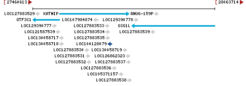 Genomic Context describing neighboring genes