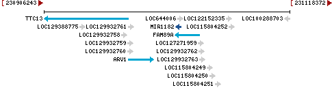 Genomic Context describing neighboring genes