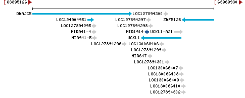 Genomic Context describing neighboring genes