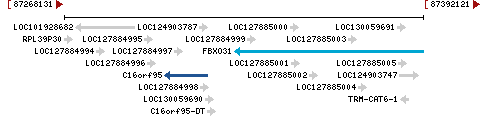 Genomic Context describing neighboring genes