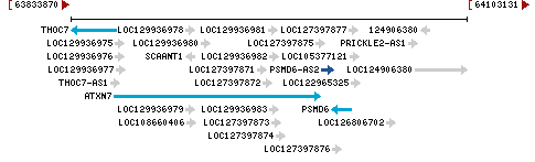 Genomic Context describing neighboring genes