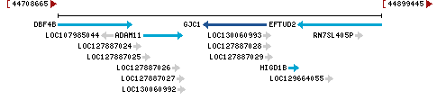 Genomic Context describing neighboring genes