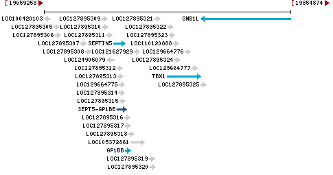 Genomic Context describing neighboring genes